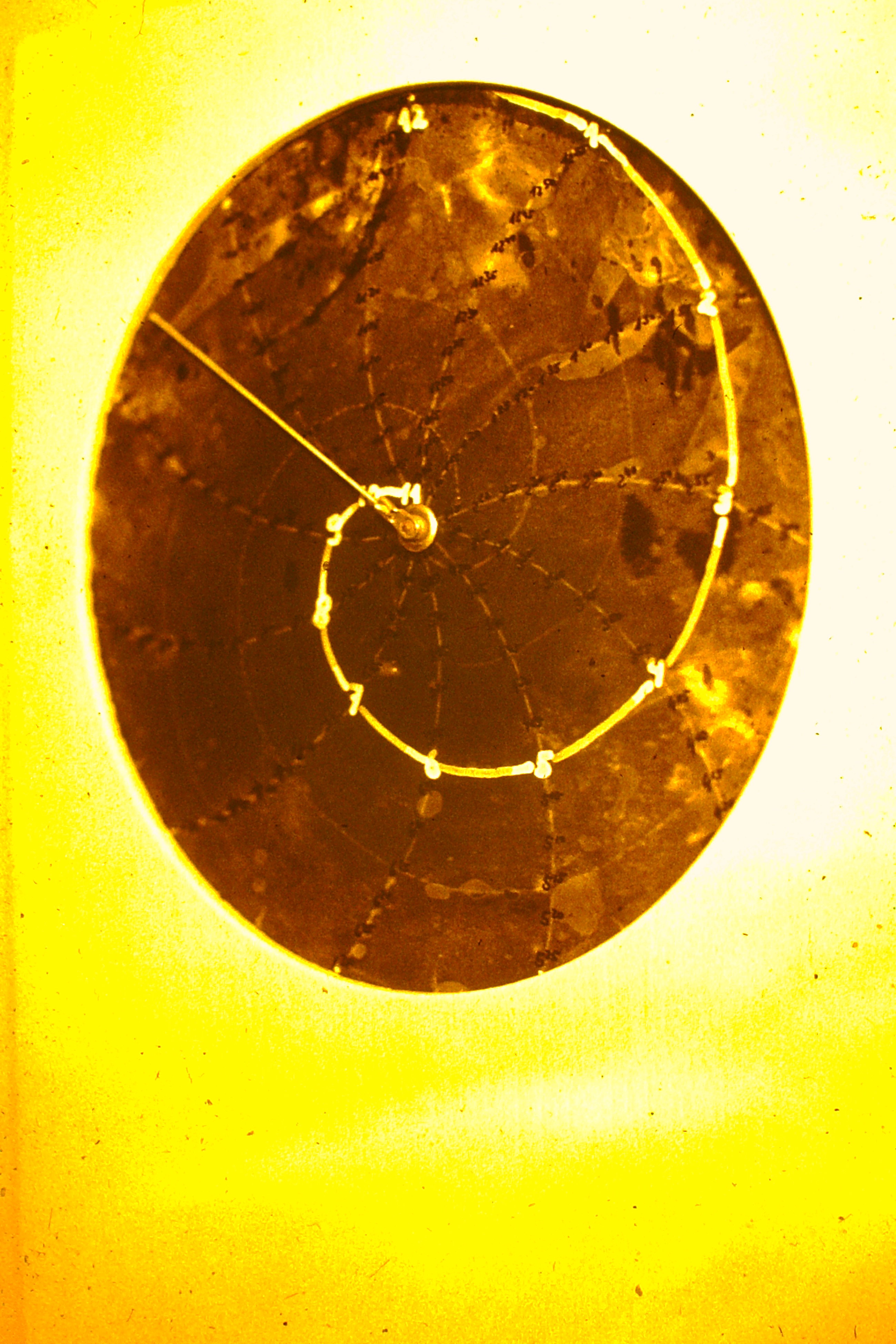Spiral